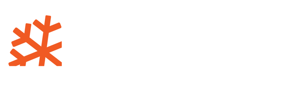 Infolyzer logotype